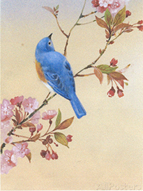 Drawing bird in tree that inspired the painting of a pot